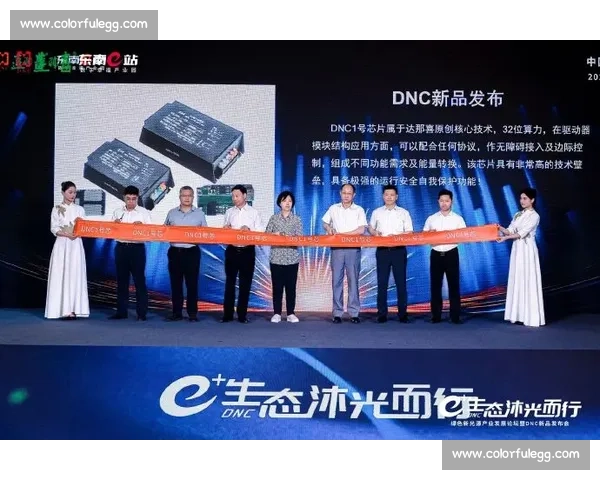 强强对话：探讨行业领袖如何通过创新实现突破与发展
